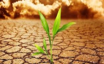 Cám dỗ là mây mờ che phủ lí trí